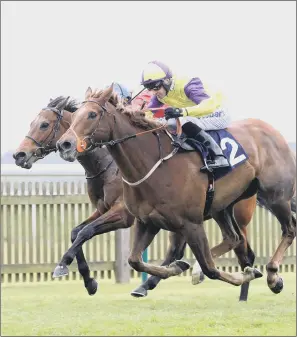  ??  ?? Tom Eaves and Brando, nearside, go in search of more success at Haydock tomorrow.