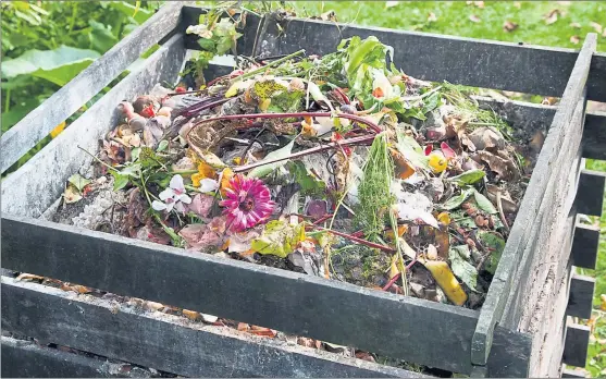  ?? PHOTOGRAPH: SHUTTERSTO­CK ?? By composting plants you maintain the cycle of fertility and lessen the need to add nutrients to the soil Fallen leaves are invaluable to gardeners. They rot down within 18 months, producing leafmould that greatly improves soil structure, can be used...