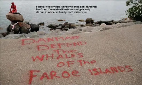  ?? FOTO: JENS DRESLING ?? Forsvar hvalerne på Faerøerne, stod der i går foran havfruen. Det er den lille dame muligvis enig i, da hun jo selv er et havdyr.