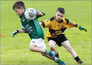  ??  ?? Pearse Lenehan of St Molaise Gaels in possession.