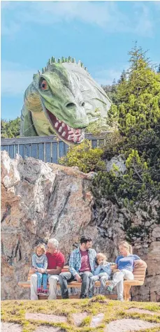  ?? FOTOS: DPA ?? Von oben grüßt freundlich der Dino im Triassic Park auf der Steinplatt­e in Waidring.