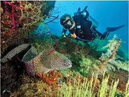  ??  ?? UNDERSEA WORLD:Diving off the Daymaniyat Islands near Muscat