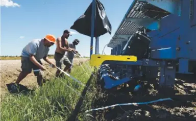  ??  ?? From left, Troy Laird, Jordan Hohm and Brady Ross — a crew with Hydroplain­s, a company in Aurora, Neb. — lay coils of irrigation tape in fields neighborin­g Marc Arnusch’s farm. Andy Cross, The Denver Post