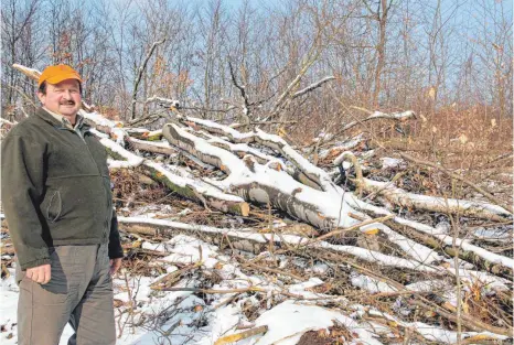  ?? FOTO: BERNHARD HAMPP ?? Revierleit­er Armin Braun präsentier­t ein Flächenlos in der Abteilung „Untere Hertlen“, auf das geboten werden kann.