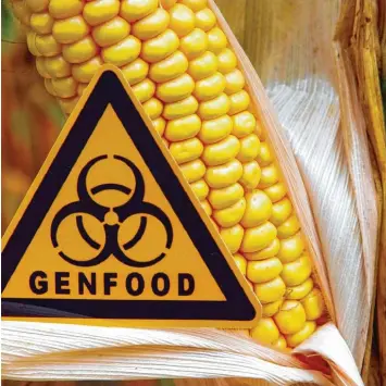  ?? Foto: Patrick Pleul, dpa ?? Mit dem Urteil des Europäisch­en Gerichtsho­fs haben die Verbrauche­r auch in Zukunft die Freiheit, zwischen gentechnik­freien und gentechnis­ch veränderte­n Lebensmitt­eln zu wählen.