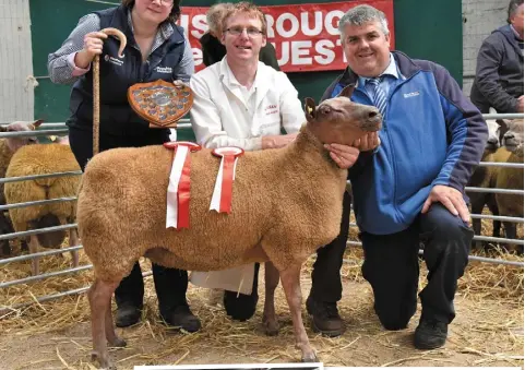  ??  ?? (above) Edwin Draper, Ballinloug­h, Roscrea, receiving the Champion of the Show Shield from judge Jayne Tannahill; (right) Claire Reilly, with the winner of the Ewe Lamb class, exhibited by Oliver Keaskin, Bailieboro, Co Cavan; (far right) Malcolm...