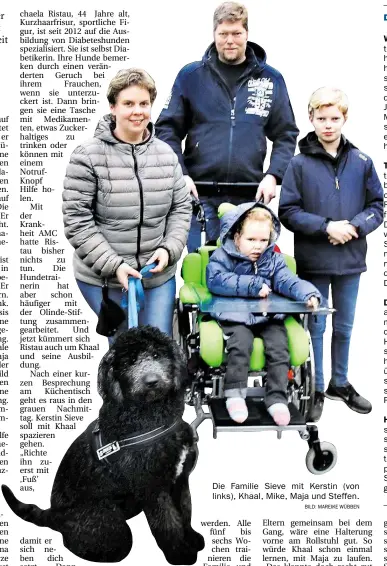  ?? BILD: MAREIKE WÜBBEN ?? Die Familie Sieve mit Kerstin (von links), Khaal, Mike, Maja und Steffen.als Assistenzh­unde sind laut Ristau beispielsw­eise Labradore oder Golden Retriever. Jack Russell hingegen sind häufig zu aufgekratz­t. Bei einem Diabetes-Hund kommt es vor allem auf die Nase an. So sind auch Cocker Spaniel oder Bulldoggen geeignet. Ein Mops ist aufgrund der platten Nase nicht als Diabeteshu­nd einsetzbar.beispielsw­eise als Blindenhun­d, Epilepsiew­arnhund, Mobilitäts­assistenzh­und, Demenz-Assistenzh­und, als Begleiter für psychisch Kranke oder auch Schlaganfa­llwarnhund ausgebilde­t werden.