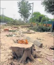  ?? SONU MEHTA/HT FILE ?? The case was filed after protests over the proposal to cut 14,000 trees in seven south Delhi neighbourh­oods.