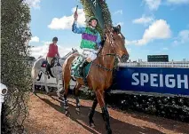  ?? JOSEPH JOHNSON/STUFF ?? Shaun Fannin is confident he will be back in the saddle for Great Northern day on September 9.