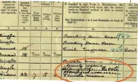  ??  ?? Sometimes you will find, on the 1911 Census, instances of your female ancestor recording notes about the vote (see below): ‘Helping to obtain the vote for qualified women’