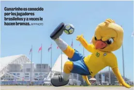  ?? AFP PHOTO ?? Canarinho es conocido por los jugadores brasileños y a veces le hacen bromas.