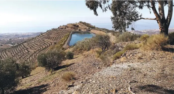  ?? Fotos: Nicolas Hock/google maps (Karte) ?? Kurz vor dem Erreichen des höchsten Punktes des Cerro Tío Caña kommt man an zwei großen Wasserbeck­en vorbei.