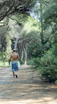  ??  ?? Sopra uno dei lupi che sono stati avvistati negli scorsi mesi ad Ansedonia e anche sulla spiaggia della Feniglia. Almeno una coppia di lupi vive stabilment­e nella pineta. A destra il venditore marocchino Likbir che da dieci anni ha piantato il suo ombrellone proprio accanto al ristorante dello stabilimen­to. Sotto una delle capanne costruita con tronchi trovati sulla spiagga, una tradizione della Feniglia. Più in baso uno dei tanti venditori che camminano sulla spiaggia libera