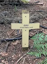  ??  ?? Dr Alwyn Seeley left a living legacy to Hamilton – Seeley’s Gully Reserve in Hamilton East. He erected a marker on the grave of Ruru, the first of many moreporks to return to the gully.