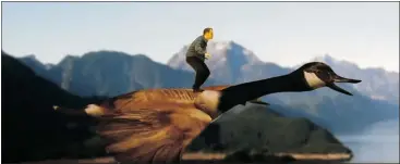  ?? — YOUTUBE ?? Independen­t B.C. candidate Wyatt Scott flew into the federal election race on the back of a Canada goose in his memorable campaign video.