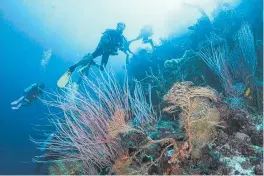  ??  ?? One reader believes UNESCO’s deferral of a decision on whether to list the Great Barrier Reef as being in danger should be a warning.