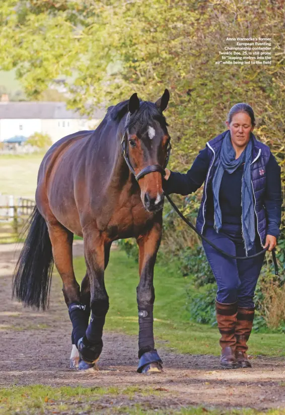  ??  ?? Anna Warnecke’s former
European Eventing Championsh­ip contender Twinkle Bee, 25, is still prone
to “leaping metres into the air” while being led to the field