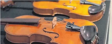  ?? FOTOS: DPA ?? Geigen aus Pilzholz liegen nebeneinan­der: Ihr perfekter Klang soll jetzt wissenscha­ftlich fundiert werden.
