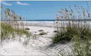  ?? COURTESY OF CUMBERLAND ISLAND NATIONAL SEASHORE ?? The land being added to the national seashore currently belongs to the Nature Conservanc­y, which bought it in 1999 as part of a larger purchase of 1,108 acres.