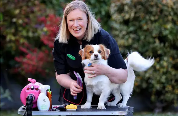  ??  ?? PAMPER TREATMENT: Dog groomer Johanna Somers from All Dogs Great and Small giving her own dog Stevie, a cavachon, a makeover. Photo: Steve Humphreys