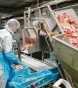 ?? Foto: dpa ?? Mit den Fleischfab­riken gehen die Grünen hart ins Gericht. Künftig soll es mehr kleinere Betriebe geben.