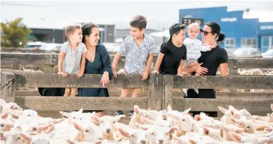  ?? Photo / ManawatuNZ ?? Feilding Saleyards.