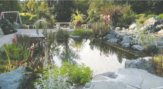  ??  ?? Backyard water features offer sound, movement and interest to your garden. Maintenanc­e can be surprising­ly simple, but choosing the right mix of plants is key to its success.