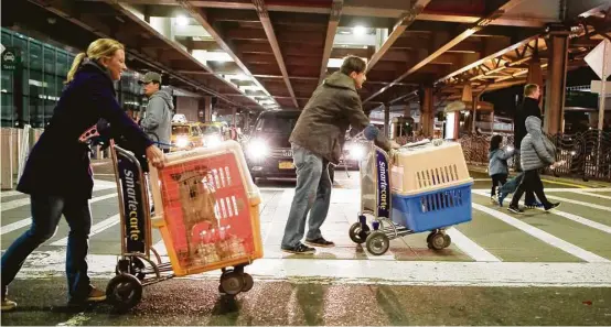  ?? Brian Branch Price ?? Melissa McClellan and Matt Niederberg­er of Posh Pets Rescue cart Max, left, and Brandy to McClellan’s car at John F. Kennedy Internatio­nal Airport in New York. Max and Brandy are among rescue dogs that arrived from Thailand to be adopted by American...