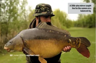  ??  ?? A 30lb-plus mirror caught live for the camera on a balanced rig.