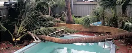  ?? Photo: ABC ?? Many trees are down in Broome after the cyclone hit.