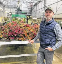  ?? JUANITA MERCER/THE TELEGRAM ?? Nursery manager and horticultu­rist Tim Walsh said the damage to the MUN Botanical Garden due to this year’s heavy winter snowfall is significan­t.