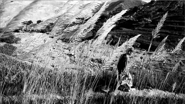  ?? DAVID P. GILKEY/ KNIGHT RIDDER ?? It’s relatively safe for this farmer on a foot path near the town of Patchiragh­am in Afghanista­n, but it’s less benign for tourists.