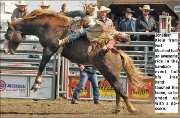  ??  ?? Jonathan Klein from Fort Macleod had an awesome ride in the bareback event, but his free hand touched the horse, so he ended up with a noscore.Kirby Finkbeiner was one of 10 barrel racers to compete on Saturday afternoon from the 40 who competed in the slack earlier in the day.