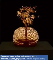  ?? (Photo Angelos BVBA) ?? Cerveau avec arbre miniature, . Bronze, x,x,cm.