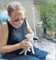  ??  ?? La présidente de Phoebus SOS Chats en compagnie d’un chaton à adopter