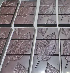  ??  ?? Creative chocolate moulding – using forest leaves to produce elegant ‘chocolate leaves’.