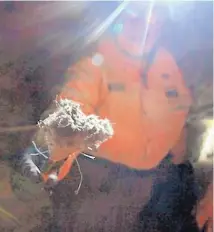  ?? MADDY HAYDEN/CARLSBAD CURRENT ARGUS ?? Karen Perry of Carlsbad shows off the lint she collected Nov. 10 that had been left by visitors in Carlsbad Caverns. Volunteers try to prevent damage by keeping the caves as clear as possible of clothing fibers, strands of hair and skin cells.