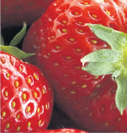  ??  ?? > The owner of the farm which provides Wimbledon with its strawberri­es has said she hopes there is a ‘mechanism’