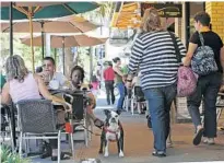  ?? STAFF FILE PHOTO ?? Carla Caetano’s dog Ziggy stands outside 310 Park South restaurant in Winter Park. Commission­ers will discuss a doggie-dining ordinance so eateries don’t get in trouble for serving customers with pets.