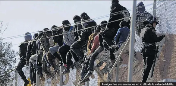  ?? EFE / F.G. GUERRERO ?? Inmigrante­s encaramado­s en lo alto de la valla de Melilla.