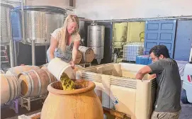  ?? Photos by Haven Daley/associated Press ?? Megan Glaab at Ryme Cellars in Forestvill­e, Calif., pours white grapes into an amphora, a ceramic container dating back to ancient Greece, to ferment.