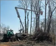  ?? LESLIE KROWCHENKO - DIGITAL FIRST MEDIA ?? Workers clear trees on Judy Way in Aston as they start work on the company’s Mariner East 2 pipeline.