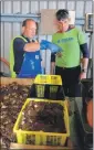  ??  ?? Alistair with fisherman Donnie MacLean landing a lobster and crab catch at North Bay in Barra.