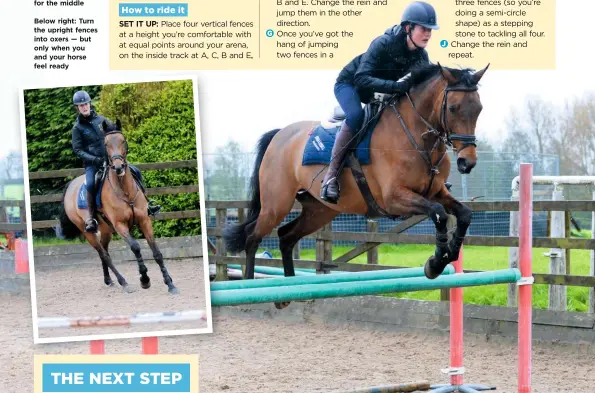  ??  ?? Below: Look ahead for your first jump and aim for the middleBelo­w right: Turn the upright fences into oxers — but only when you and your horse feel ready