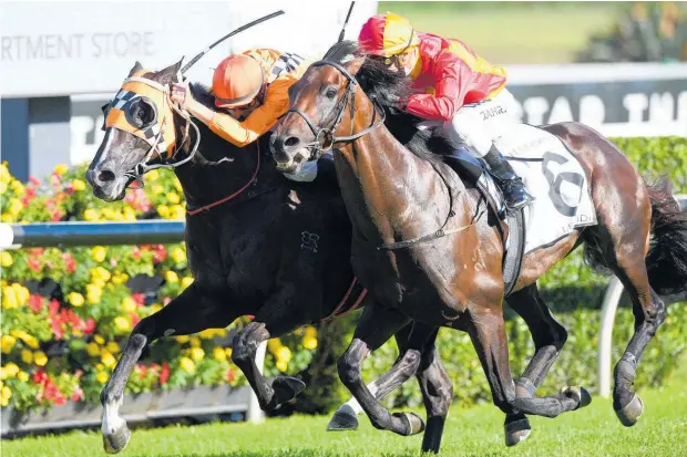  ?? Picture / AAP ?? Levendi (6) beats Ace High by a nose in the A$2m Australian Derby at Randwick on Saturday.