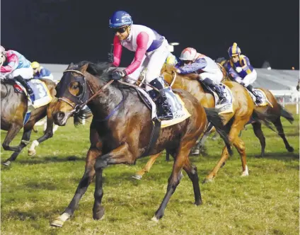  ??  ?? HISTORY BID. Marinaresc­o will be trying to become only the second horse to win the Champions Cup two years in a row at Greyville on Saturday 29 July.