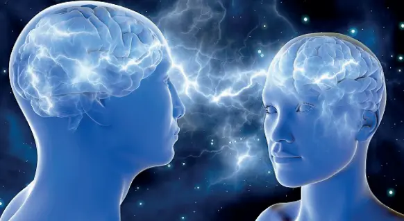  ??  ?? Un’immagine simbolo dei rapporti che intercorro­no tra cervelli, studiato dalle neuroscien­ze e illustrato negli incontri Legami