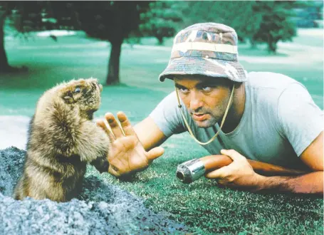  ?? ORION PICTURES ?? Bill Murray’s loopy-yet-lovable groundskee­per character Carl faces his elusive gopher nemesis in the cult golf comedy Caddyshack.