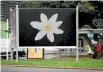  ??  ?? One of the pair’s billboards near Wellington Railway Station.