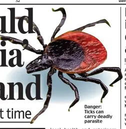  ?? ?? Danger: Ticks can carry deadly parasite